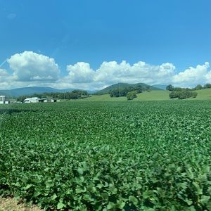 Meet your Posher, Feng